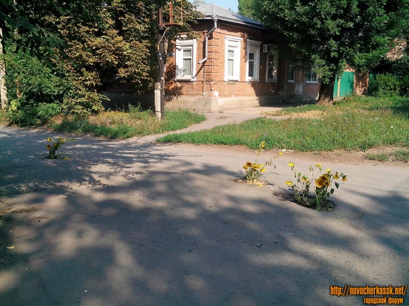 Новочеркасск: Угол Михайловской и Просвещения. Акция против ям на дорогах