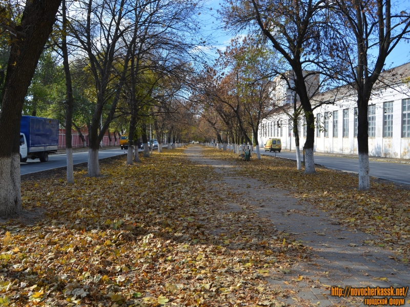 Новочеркасск: Осенняя аллея Баклановского проспекта